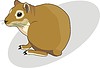 Vector clipart: guinea-pig