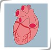 Vector clipart: heart