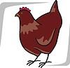 Vector clipart: hen