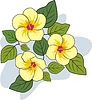 Vector clipart: hibiscus