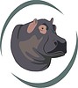 Vector clipart: hippopotamus