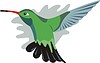 Vector clipart: flying humming-bird