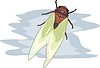 Vector clipart: insect