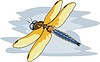 Vector clipart: dragonfly