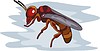 Vector clipart: wasp
