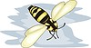 Vector clipart: bee