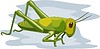 Vector clipart: grasshopper