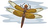 Vector clipart: dragonfly