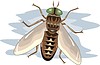 Векторный клипарт: муха