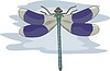 Vector clipart: dragonfly