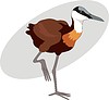 Vector clipart: african jacana