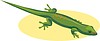 Vector clipart: lizard