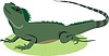 Vector clipart: lizard