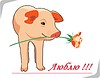 pig with red rose