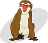 Vector clipart: japanese macaque