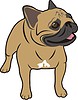 Vector clipart: pug