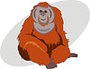 Векторный клипарт: орангутанг