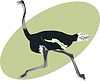 Vector clipart: ostrich