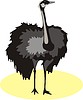 Vector clipart: ostrich