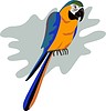 Vector clipart: parrot