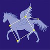 Vector clipart: constellation Pegasus