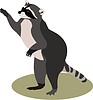 Vector clipart: raccoon