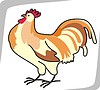 Vector clipart: rooster