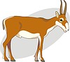 Vector clipart: saiga