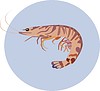 Vector clipart: shrimp