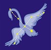 Vector clipart: constellation Cygnus