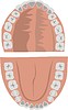 Векторный клипарт: зубы