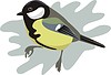 Vector clipart: titmouse