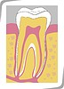 Vector clipart: tooth