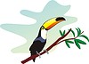 Vector clipart: toucan on branch 