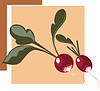 Vector clipart: radish