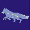 Vector clipart: constellation Vulpecula