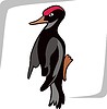 Vector clipart: woodpecker