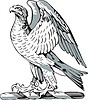 Vector clipart: crest with a falcon