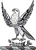 Vector clipart: crest falcon on trunk