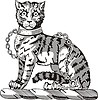 Векторный клипарт: кот