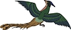 Vector clipart: bird