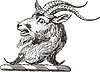 Goat | Stock Vector Graphics