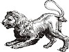 Vector clipart: Leo (Lion, «Uranographia» by J. Hevelius)