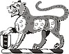 Векторный клипарт: леопард
