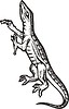 Vector clipart: lizard