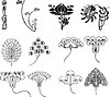 Vector clipart: art nouveau simple floral ornaments