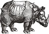 Rhinoceros (engraving by Albrecht Dürer) | Stock Vector Graphics