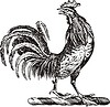 Vector clipart: rooster