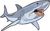 Vector clipart: shark