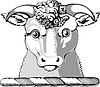 Vector clipart: sheep